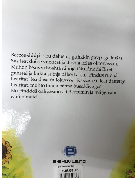 Go finddos lei unni ja jávkkai