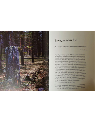 Muttos Muddus Nationalpark