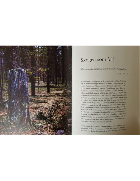 Muttos Muddus Nationalpark