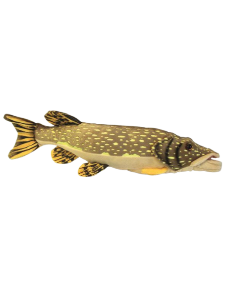 Gädda 44 cm