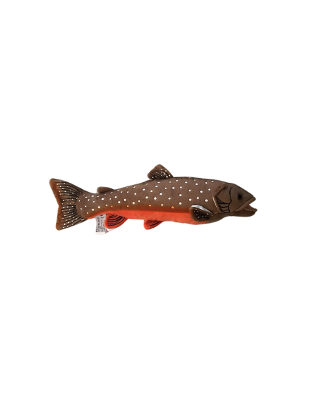 Röding 35 cm