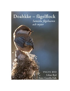 Doahkke - fågelflock