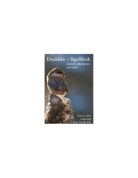 Doahkke - fågelflock